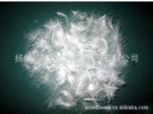 揚州萬達羽絨制品：專業(yè)韓版女式高檔羽絨服批發(fā)與訂單加工服務(wù)